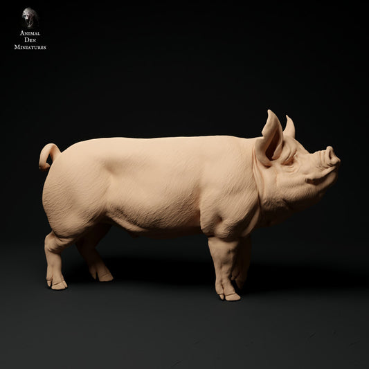 Product photo Animal Figure Diorama, Model Building: 0: Farm Animal Figures: Boar - Berkshire Pig