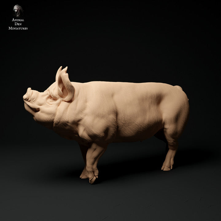 Product photo Animal Figure Diorama, Model Building: 0: Farm Animal Figures: Boar - Berkshire Pig