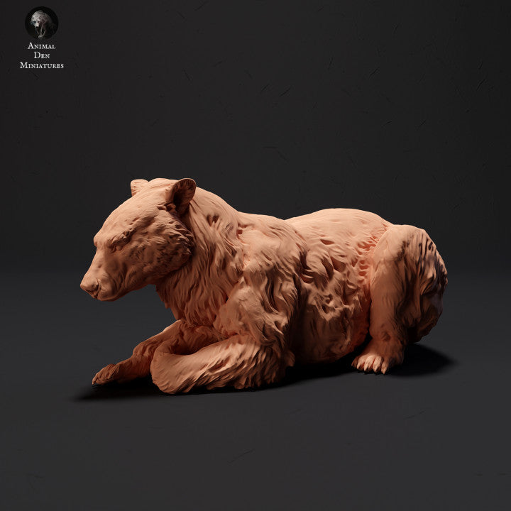 Foto do produto figura de animal diorama, modelismo: 0: Urso negro deitado: Animais do Norte