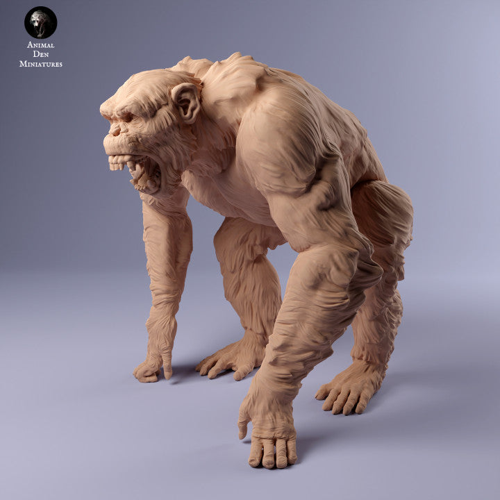 Produktové foto zvířecí figurky diorama, modelářství: 0: agresivní šimpanz: zvířata z Afriky