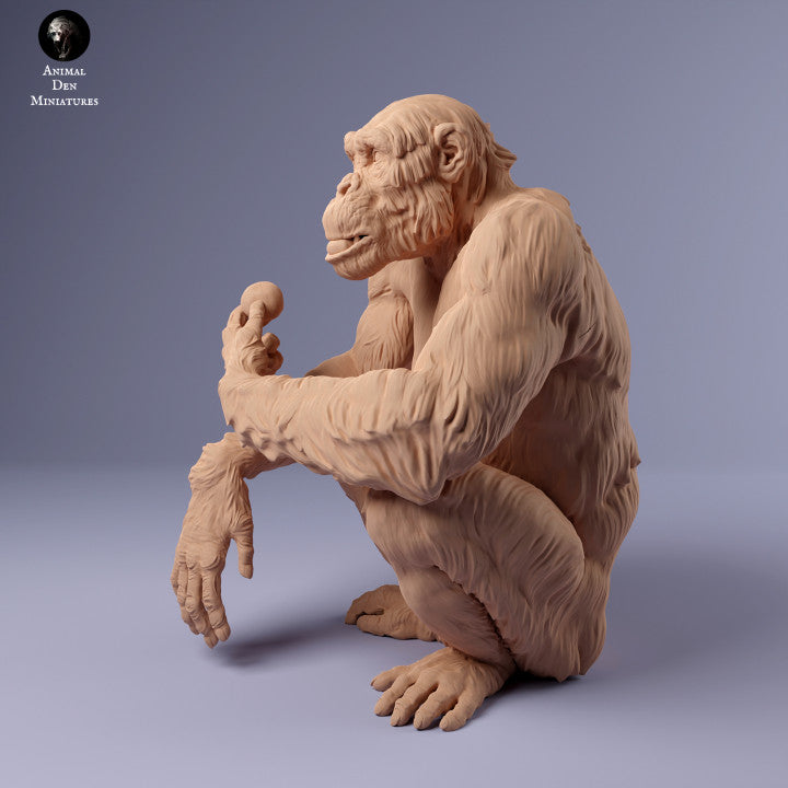 Produktové foto zvířecí figurky diorama, modelářství: 0: samice šimpanze s jídlem: zvířata z Afriky