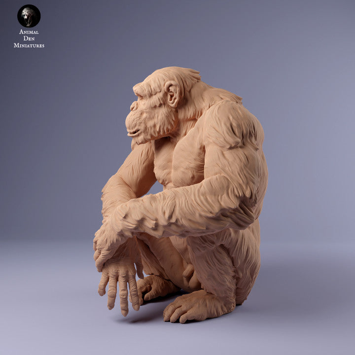 Foto do produto Figura de Animal Diorama, Modelismo: 0: Chimpanzé sentado: Animais da África