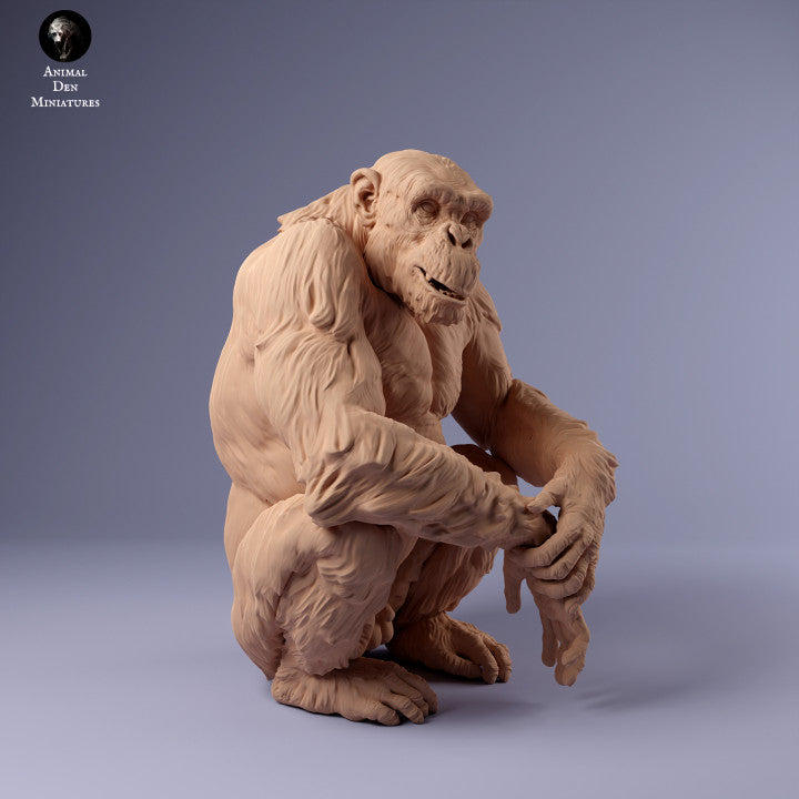 Foto do produto Figura de Animal Diorama, Modelismo: 0: Chimpanzé sentado: Animais da África