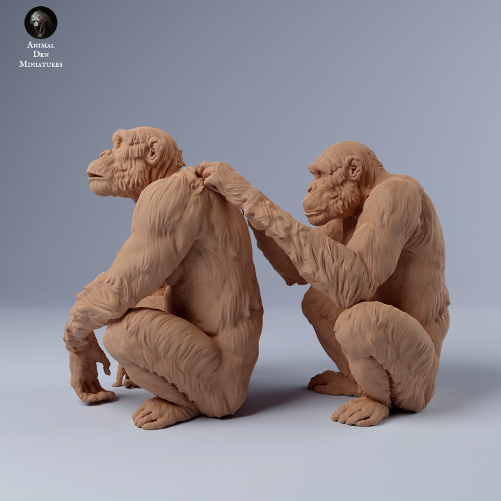 Foto do produto Figura de Animal Diorama, Modelismo: 0: Chimpanzés a cuidar-se: Animais da África