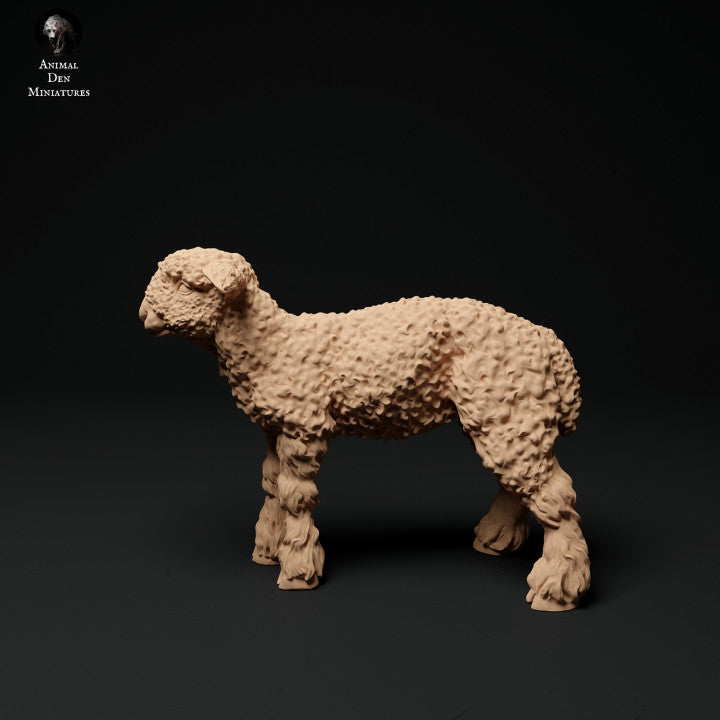 Foto del prodotto Figura di animale Diorama, Modellismo: 0: Figure di animali da fattoria: 3 agnelli - agnello in piedi, che bruca e agnello sdraiato