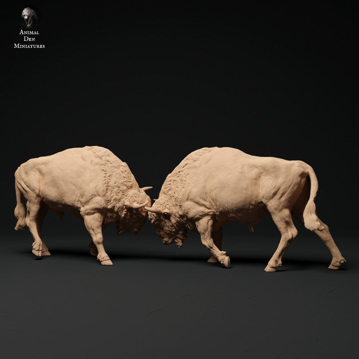 Foto do produto da figura de animal em diorama, modelismo: 0: Batalha de touros bisonte: Animais da Europa