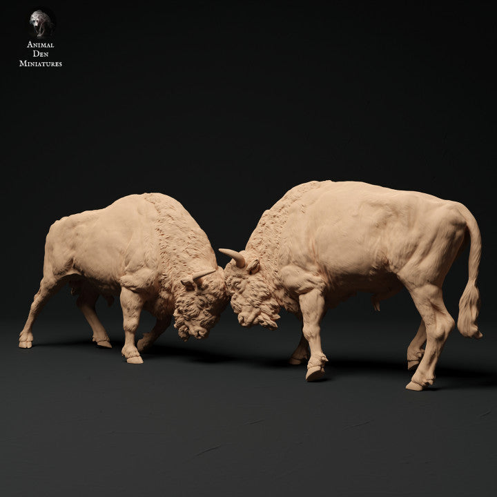 Foto do produto da figura de animal em diorama, modelismo: 0: Batalha de touros bisonte: Animais da Europa