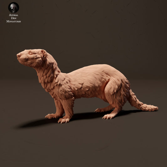 Foto do produto de figura de animal diorama, modelismo: 0: Fretchen europeu: Animais da Europa