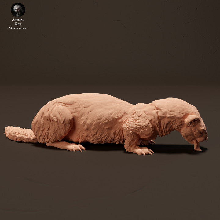 Foto do produto de figura de animal em diorama, modelismo: 0: Doninha europeia a comer: Animais da Europa