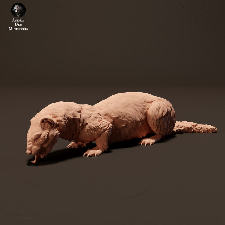 Foto do produto de figura de animal em diorama, modelismo: 0: Doninha europeia a comer: Animais da Europa
