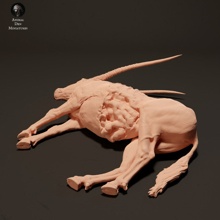 Foto do produto de figura de animal em diorama, modelismo: 0: Cadáver de Gemsbock Antílope: Animais da África