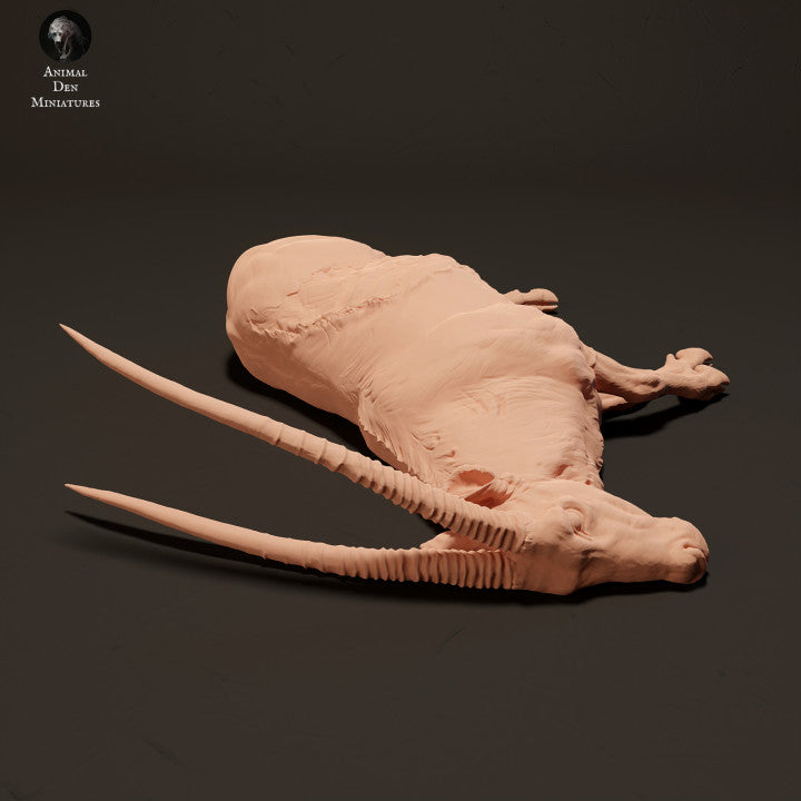 Foto do produto de figura de animal em diorama, modelismo: 0: Cadáver de Gemsbock Antílope: Animais da África