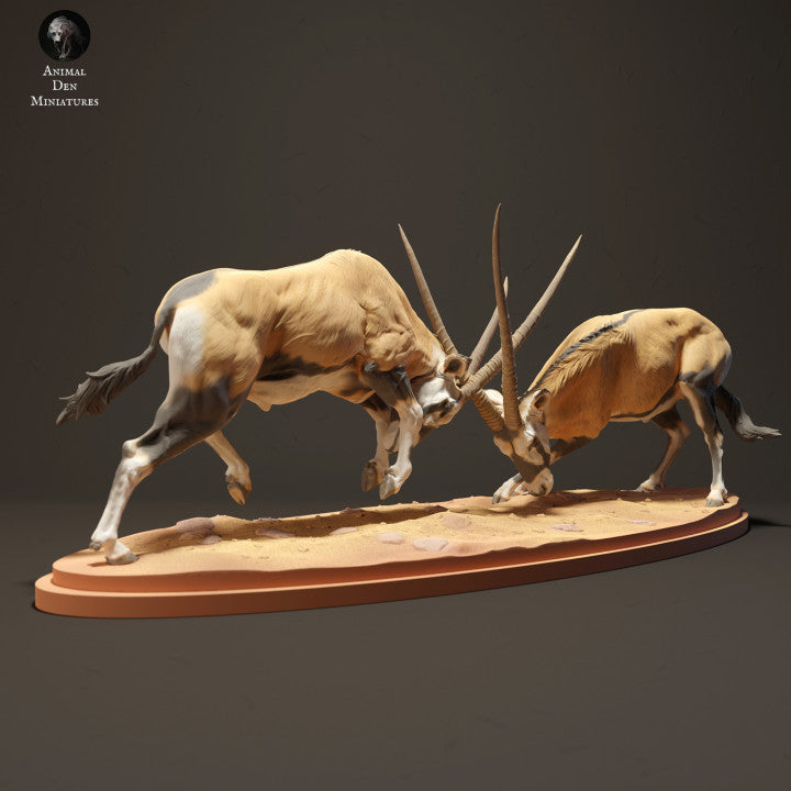 Foto do produto de figura de animal em diorama, modelismo: 0: Gemsbock antílopes lutando: Animais da África