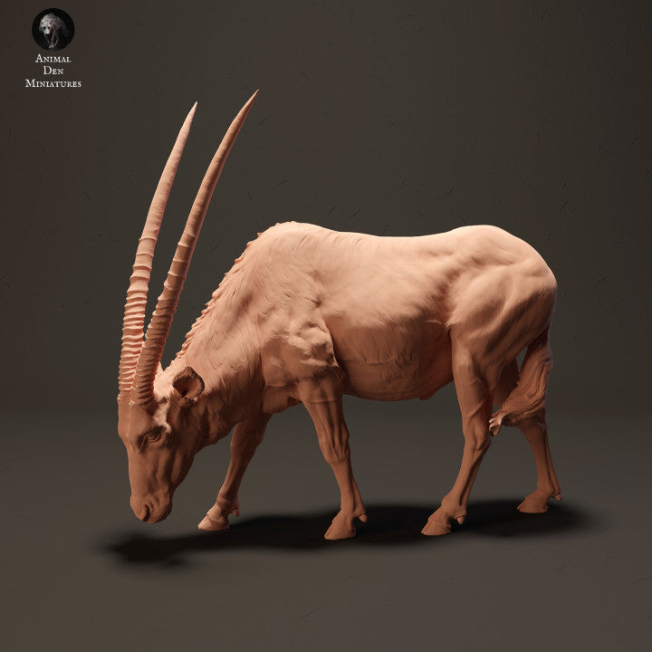 Foto do produto de figura de animal em diorama, modelismo: 0: Gemsbock antílope pastando: Animais da África