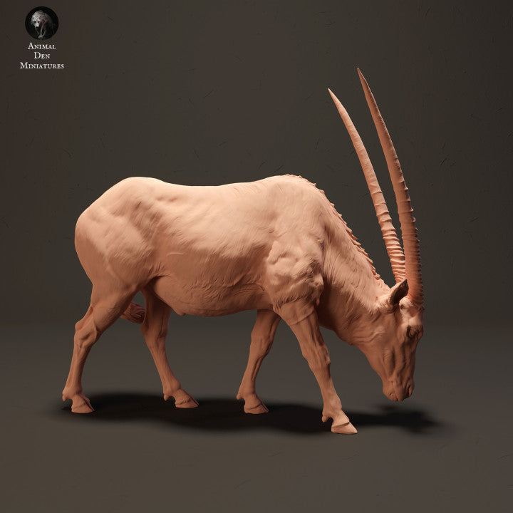 Foto do produto de figura de animal em diorama, modelismo: 0: Gemsbock antílope pastando: Animais da África