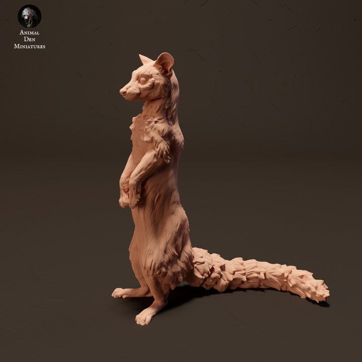 Produktová fotografie zvířecí figurky dioráma, modelářství: 0: Ginsterkatze/ Genet stojící: Zvířata z Afriky