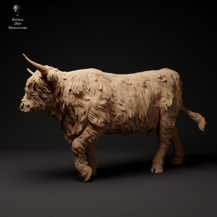 Product photo animal figure diorama, model building: 0: Scottish Highland Cattle walking: Animals from Northern Europe
