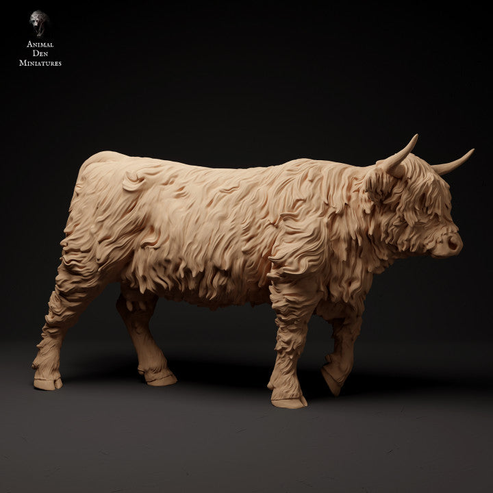 Product photo animal figure diorama, model building: 0: Scottish Highland Cattle walking: Animals from Northern Europe