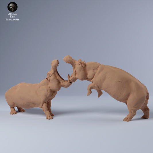 Foto do produto Figura de animal Diorama, Modelismo: 0: Hipopótamo Macho lutando: Animais da África
