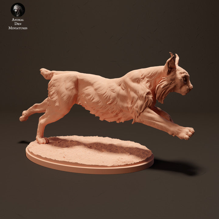 Foto do produto da figura de animal em diorama, modelismo: 0: Lince ibérico em movimento: Animais da Europa