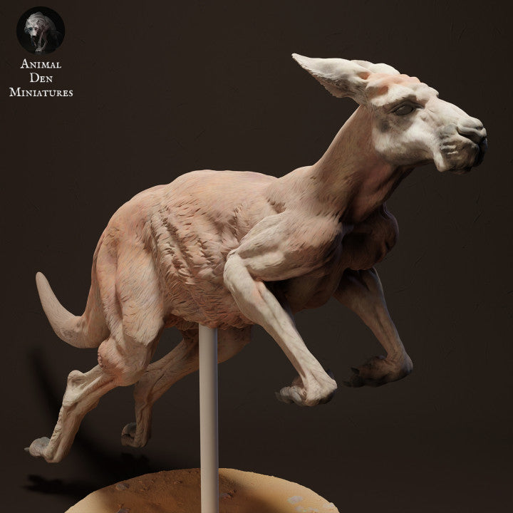 Foto prodotto figura animale Animal Den Miniatures 2: Figura di animale selvatico: canguro rosso gigante Jack - in salto (23_04_04)