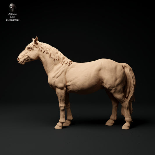 Foto do produto Figura de animal Diorama, Modelismo: 0: Konik/ Pequeno cavalo selvagem: Animais da Europa