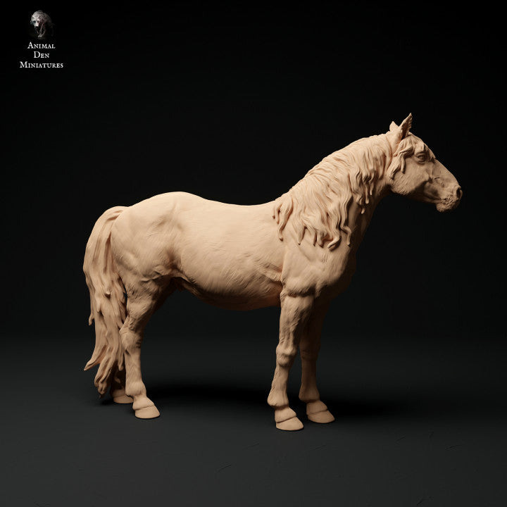 Product photo Animal Figure Diorama, Model Building: 0: Konik/ Small Wild Horse: Animals from Europe