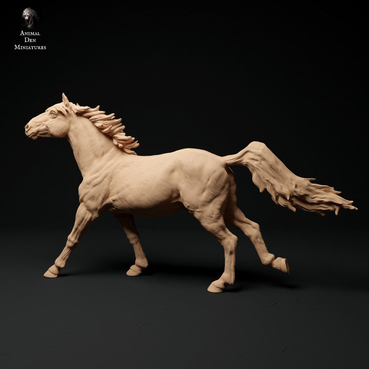 Foto do produto de figura de animal em diorama, modelismo: 0: Konik/ Pequeno cavalo selvagem correndo: Animais da Europa