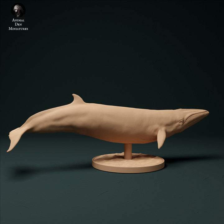 Foto del prodotto Figura Animale Diorama, Modellismo: 0: Balena nano: Animali del mare