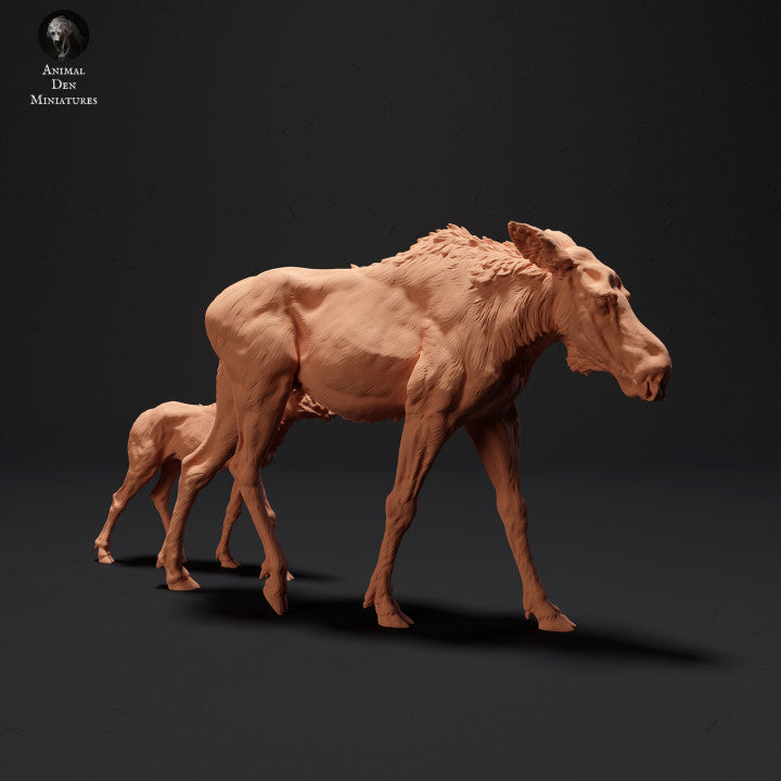 Product photo Animal Figure Diorama, Model Building: 0: Moose with Calf: Northern Animals
