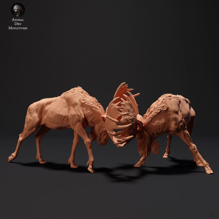 Produktfoto Tier Figur Diorama, Modellbau: 0: Mächtiger Elche kämpfen: Tiere des Nordens