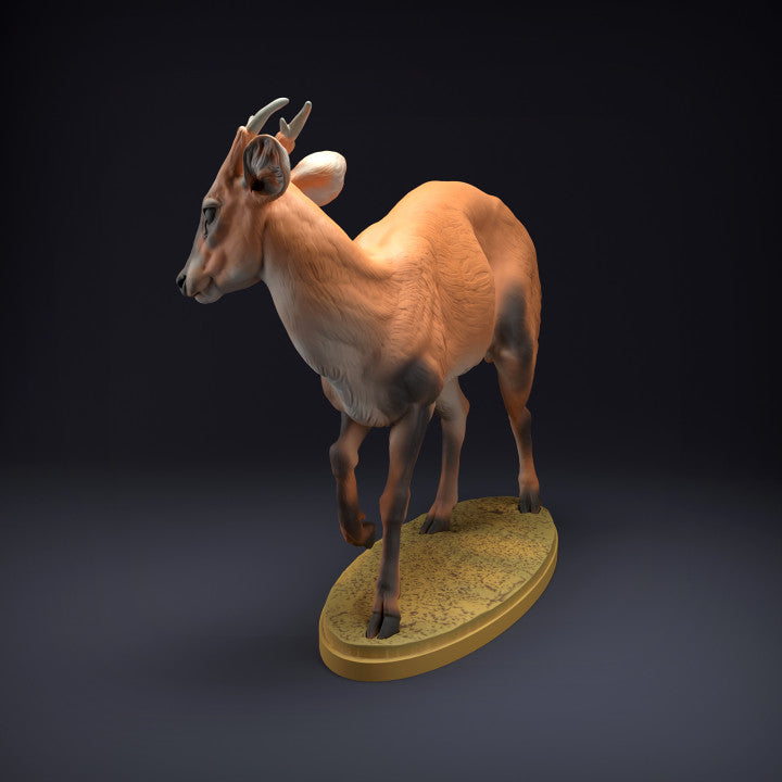 Produktfoto Tierfigur Animal Den Miniatures 3: Wildtier Tierfigur: Muntjak-Hirsch (22_08_08)