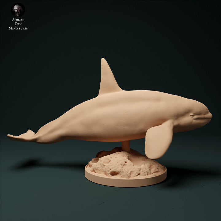 Foto do produto figura de animal diorama, modelismo: 0: Orca: Animais do mar