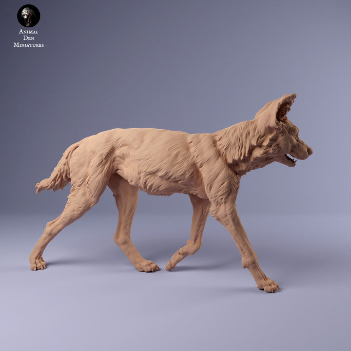 Foto do produto de figura de animal em diorama, modelismo: 0: Cão selvagem africano: Animais da África