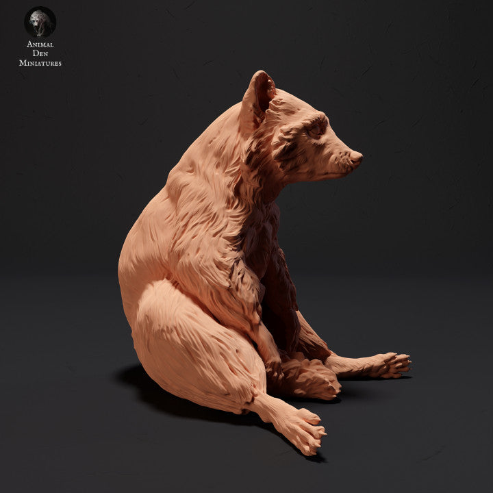 Zdjęcie produktu Figurki zwierząt Diorama, Modelarstwo: 0: Siedzący szop pracz: Zwierzęta Północy