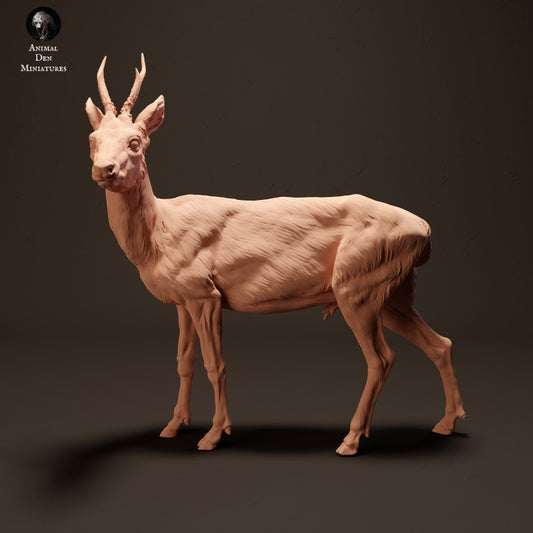 Foto do produto da figura de animal em diorama, modelismo: 0: Cervo Europeu: Animais da Europa