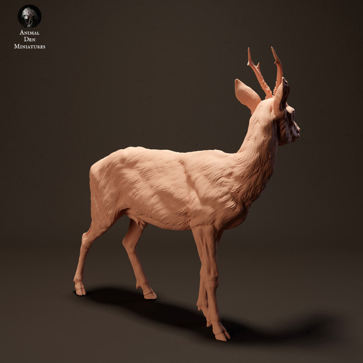 Product photo Animal Figure Diorama, Model Building: 0: European Deer: Animals from Europe