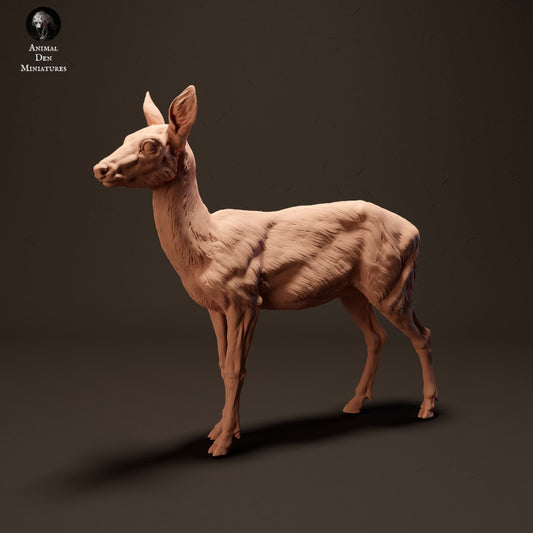 Foto do produto de figura de animal em diorama, modelismo: 0: Veado europeu: Animais da Europa