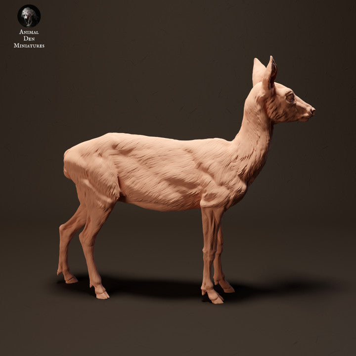 Product photo animal figure diorama, model building: 0: European deer: Animals from Europe