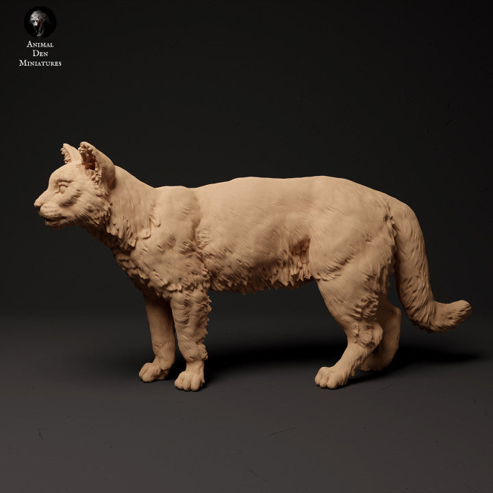 Foto do produto Figura de Animal Diorama, Modelismo: 0: Gato Selvagem Escocês: Animais do Norte da Europa