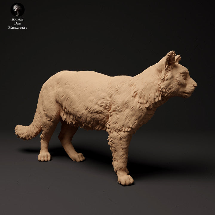 Product photo Animal Figure Diorama, Model Building: 0: Scottish Wildcat: Animals from Northern Europe