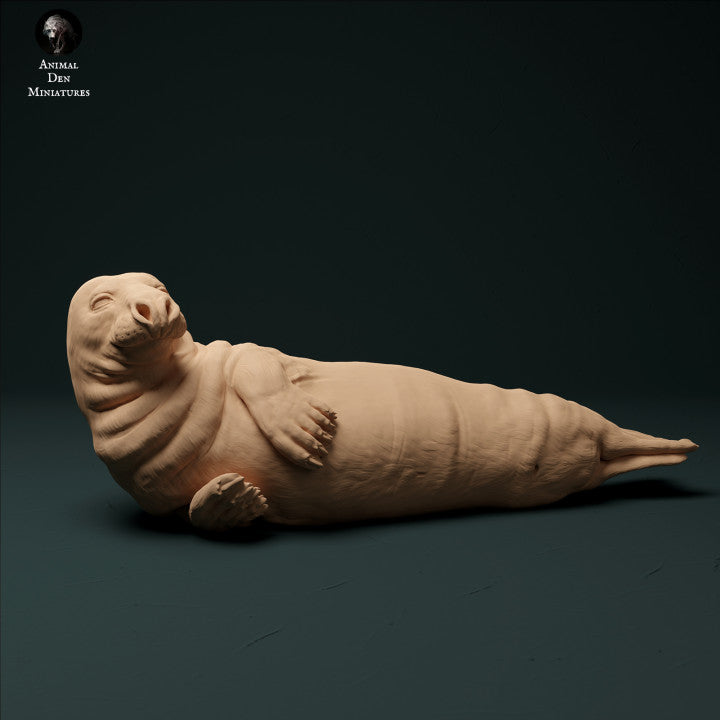 Foto do produto Figura de animal Diorama, Modelismo: 0: Foca macho: Animais do mar