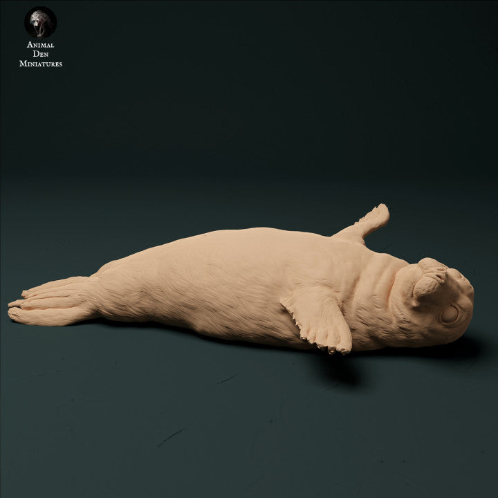 Foto do produto de figura de animal em diorama, modelismo: 0: filhote de foca: animais do mar