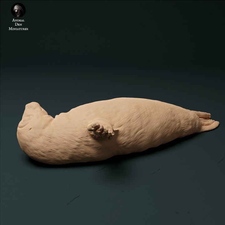 Produktfoto Tier Figur Diorama, Modellbau: 0: Kegelrobben Jungtier: Tiere aus dem Meer