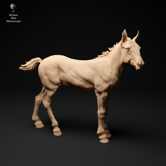 Product photo animal figure diorama, model building: 0: Farm animal figure: 2 foals - standing and walking horse