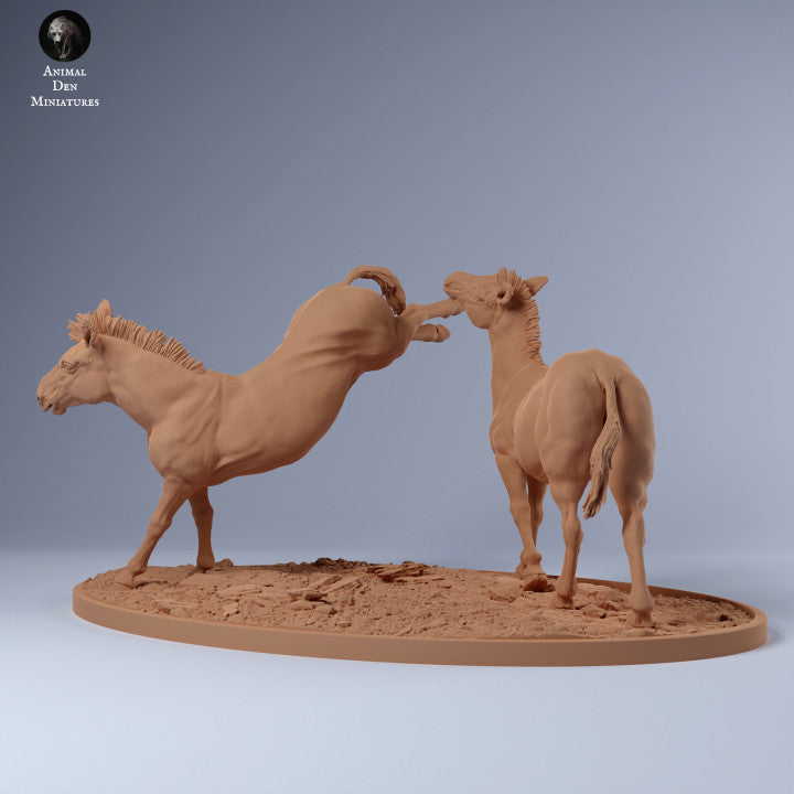 Produktové foto zvířecí figurky dioráma, modelářství: 0: Zebra samec souboj o teritorium: Zvířata z Afriky