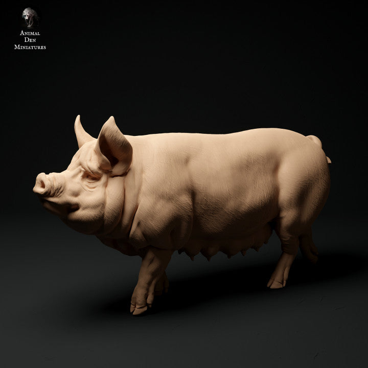 Product photo Animal Figure Diorama, Model Building: 0: Farm Animal Figures: Pig - Berkshire Pig