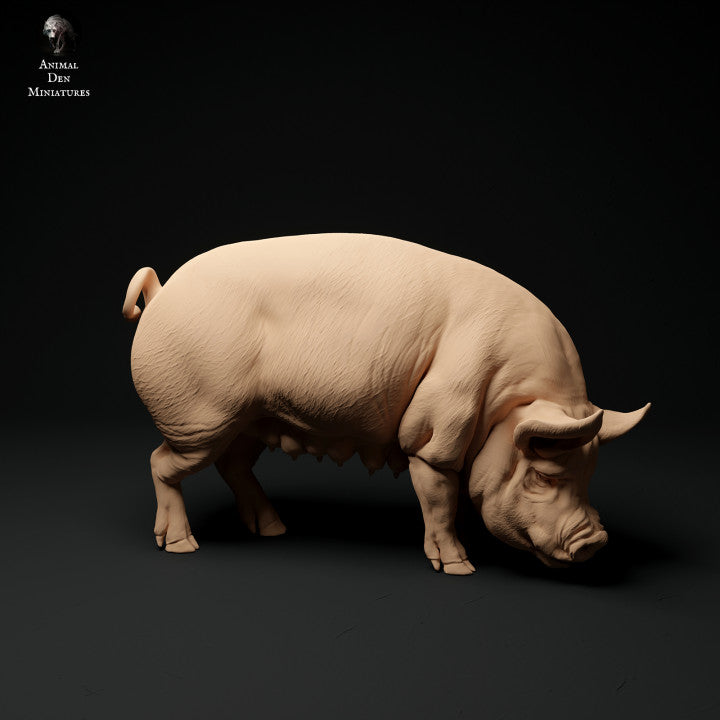 Product photo Animal Figure Diorama, Model Building: 0: Farm Animal Figures: Grazing Pig - Berkshire Pig