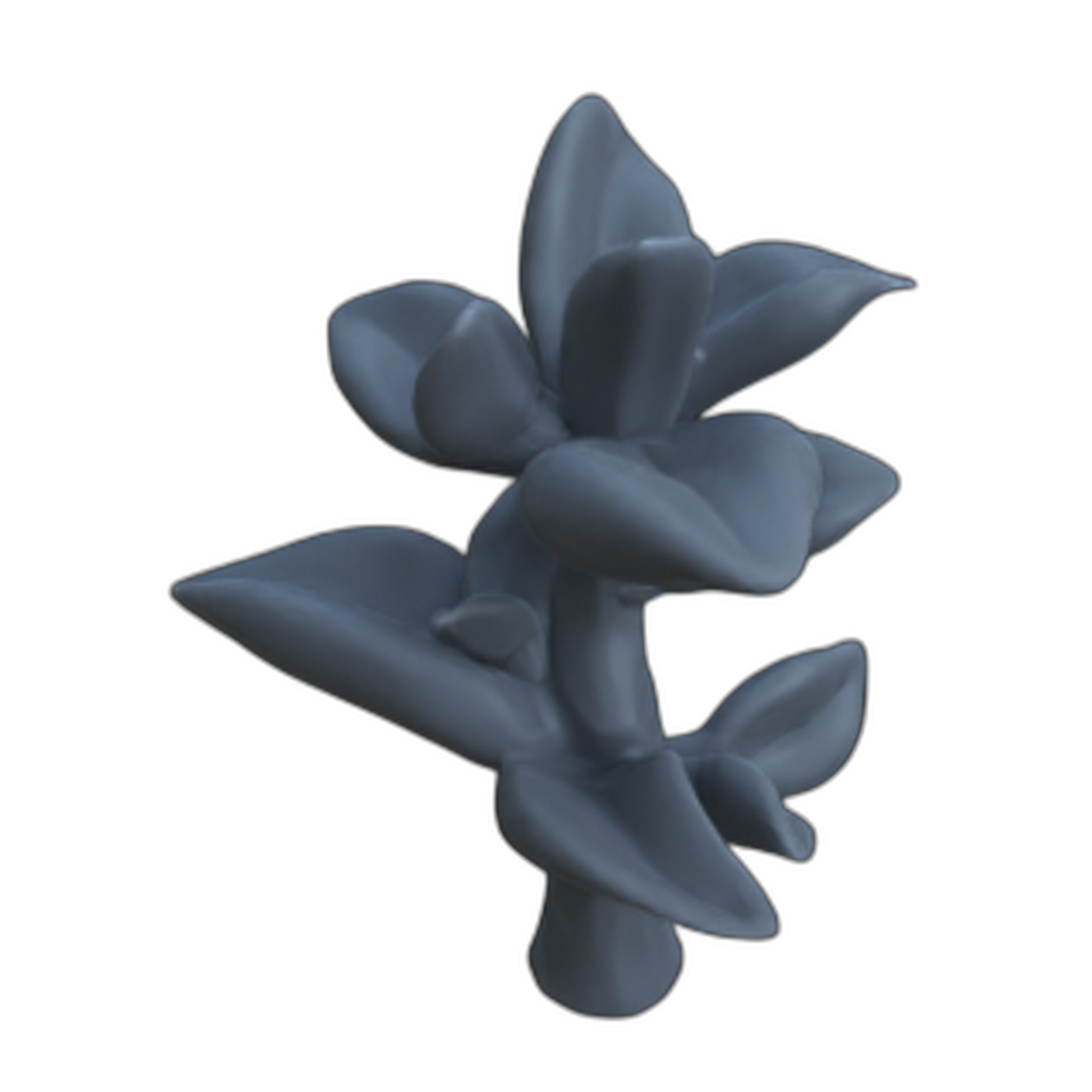 Produktfoto Diorama und Modellbau Deko, Zubehör:  0: Pflanzen und Gewächse: 10 Zwergpfeffer - Peperomia