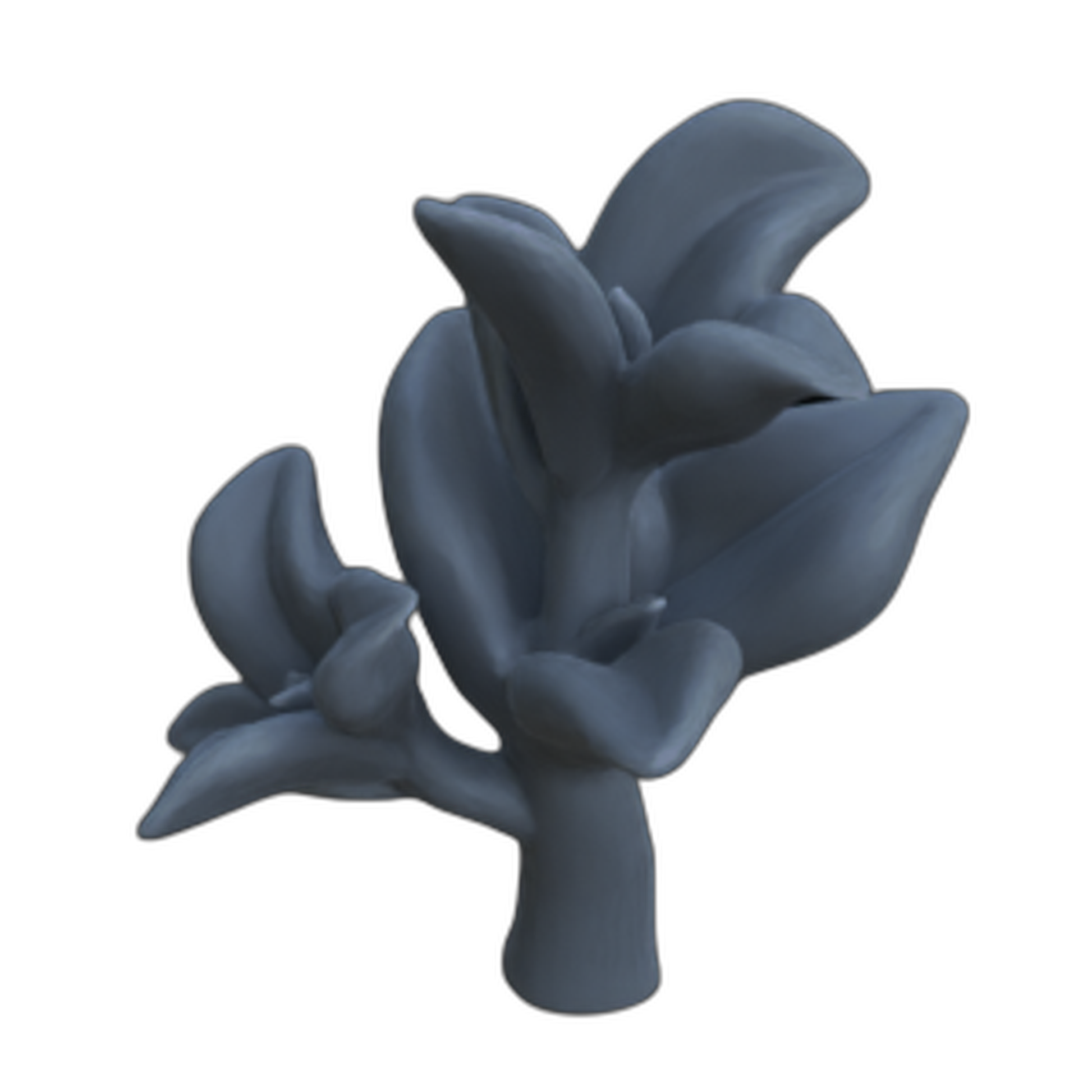 Produktfoto Diorama und Modellbau Deko, Zubehör:  0: Pflanzen und Gewächse: 10 Zwergpfeffer - Peperomia